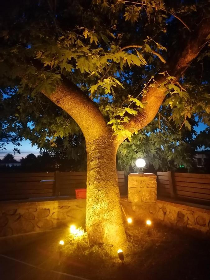 Vital Home Sapanca Isitmali Havuzlu Villa&Bungalov 外观 照片